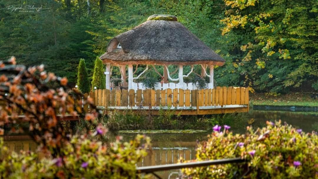 Agromurena Грыфув-Слёнский Экстерьер фото