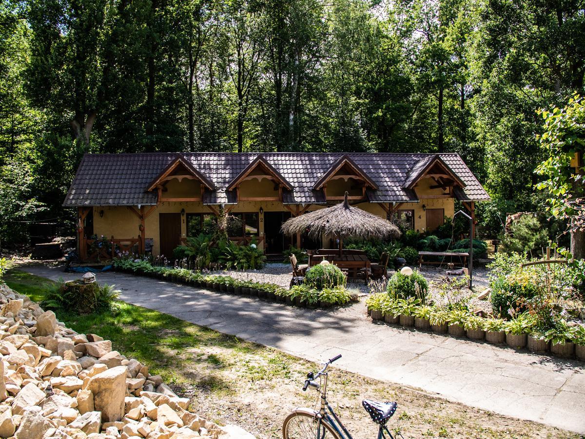 Agromurena Грыфув-Слёнский Экстерьер фото
